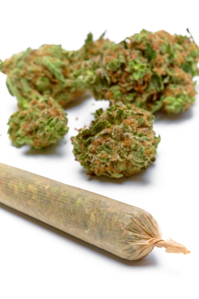 Pre-rolled blunts for sale online.