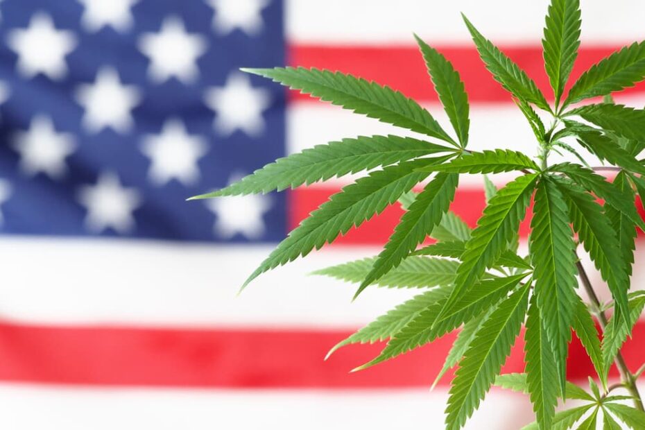 which states have legal recreational weed stores