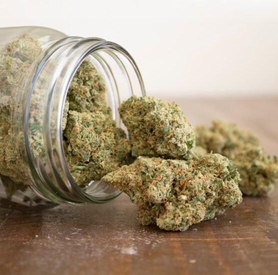 Loose cannabis flower spilling from a glass jar